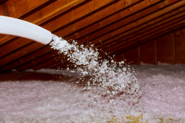 Best Insulation Removal Services  in Clifton, NJ